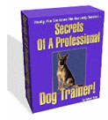 How to approach common dog problems